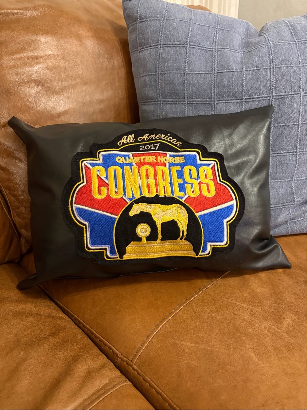 2016 AQHA AAQHC Congress Jacket Pillow